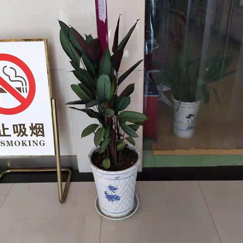许昌玛丽医院环境图