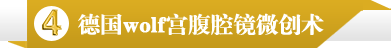 德国wolf宫腹腔镜微创术