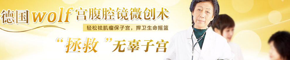 德国wolf宫腹腔镜微创术