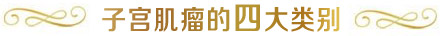 子宫肌瘤的四大类别
